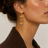 PENDIENTES COLGANTES HIGUERA