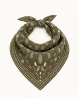 BANDANA PUNTO AMEBAS VERDE